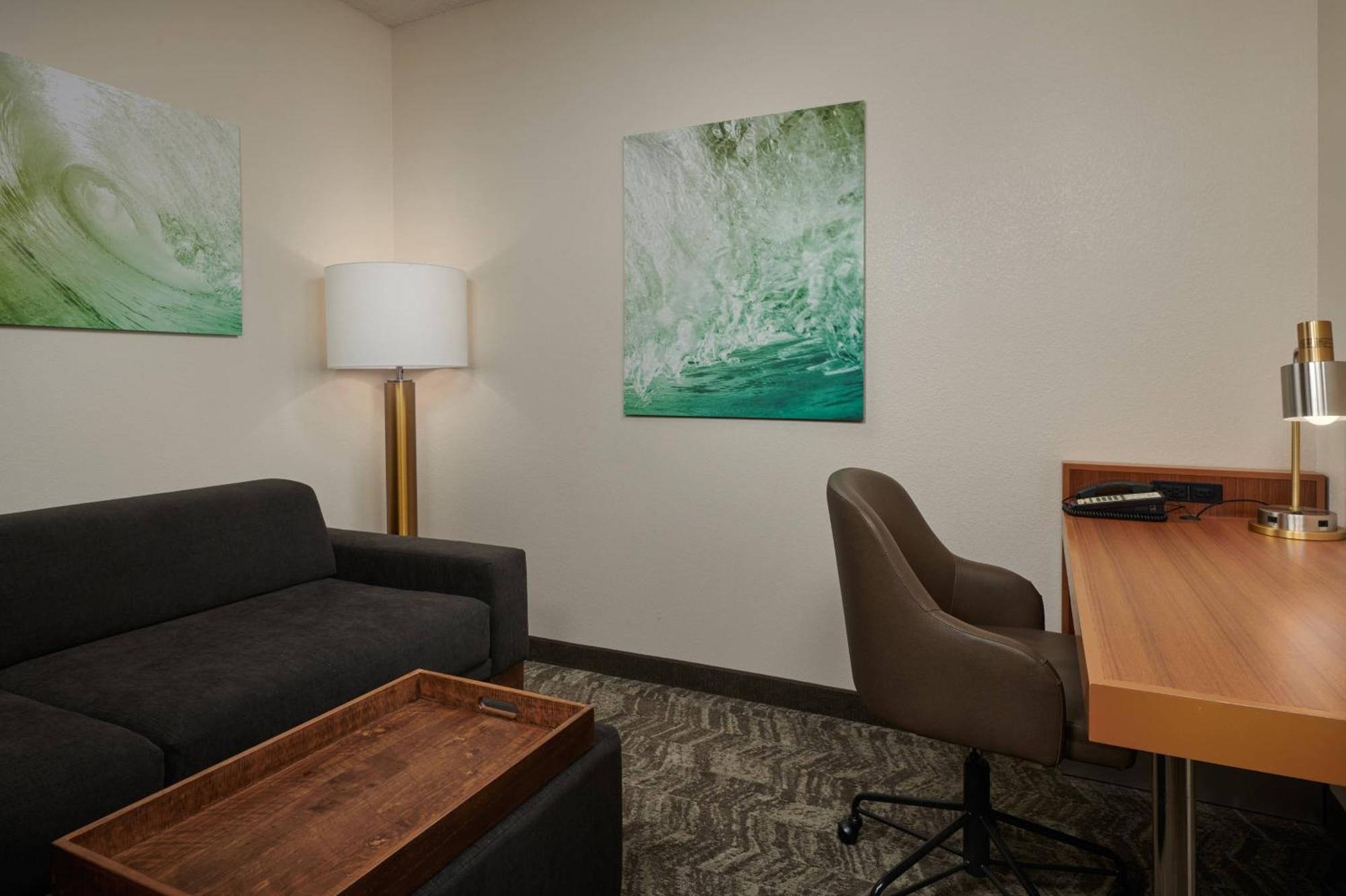 Springhill Suites By Marriott Baton Rouge North / Airport Exterior photo
